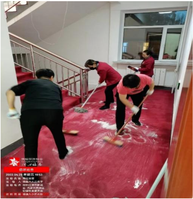 &#80;&#84;&#30495;&#20154;&#65288;&#20013;&#22269;&#65289;&#23448;&#26041;&#32593;&#31449;